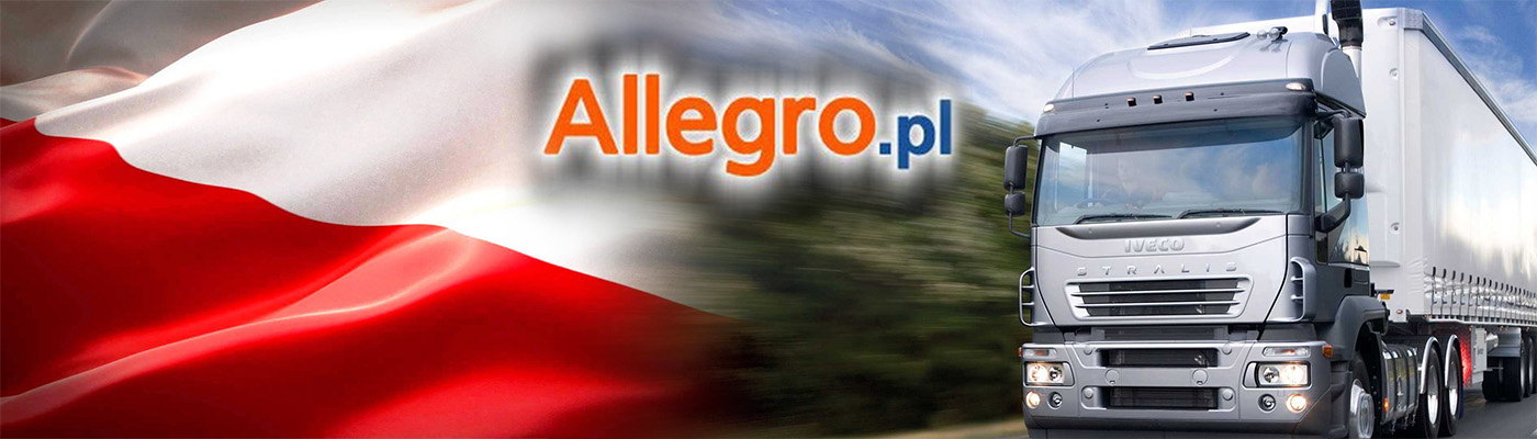 Доставка товаров с Allegro.pl в Москву 